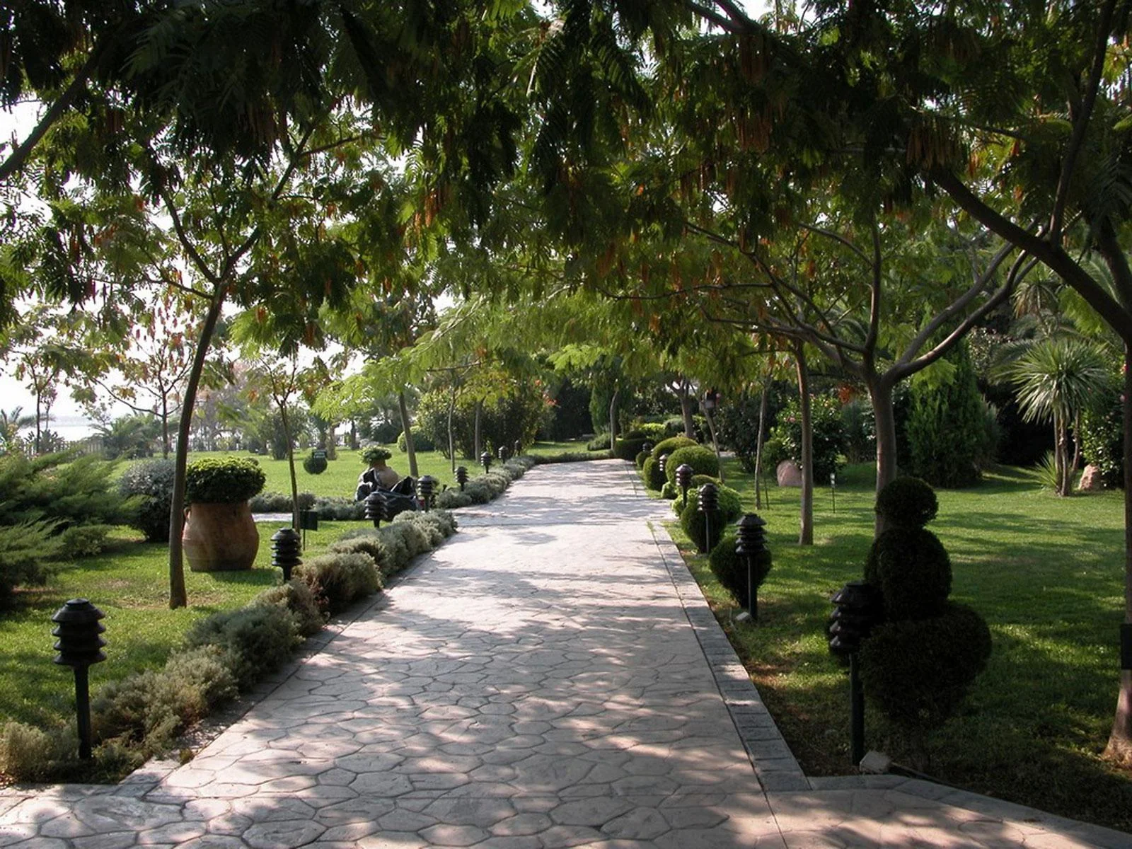 Playground Restoration