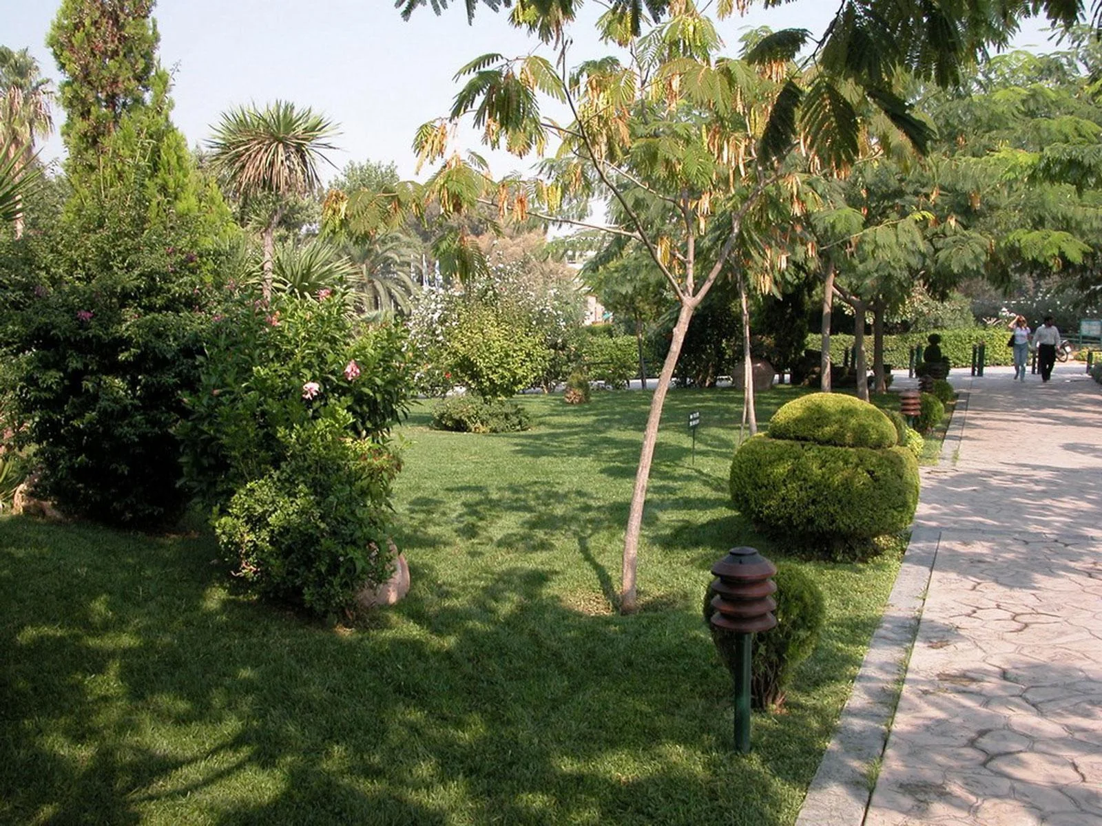 Playground Restoration