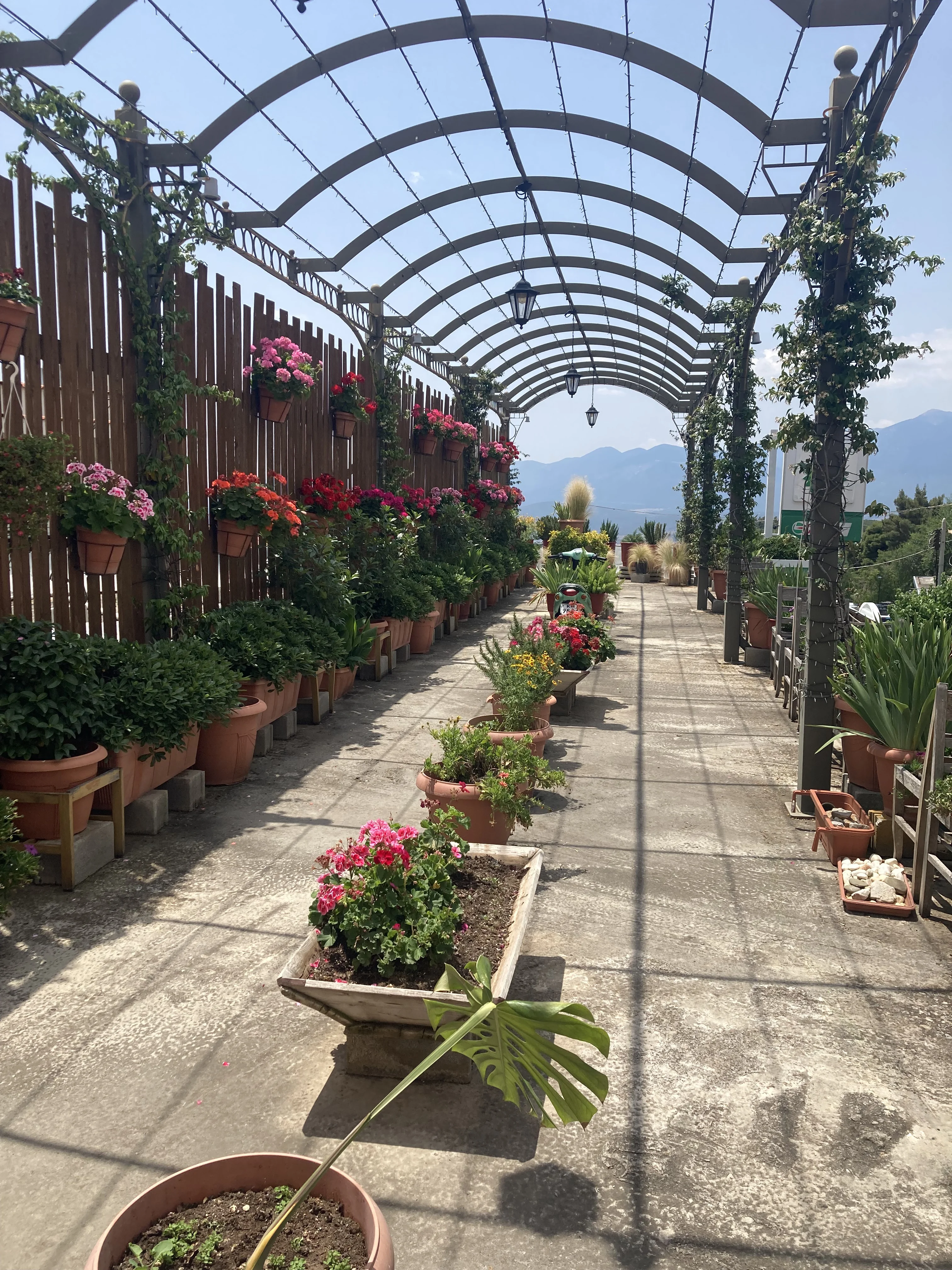 NIDIMOS HOTEL Delphi